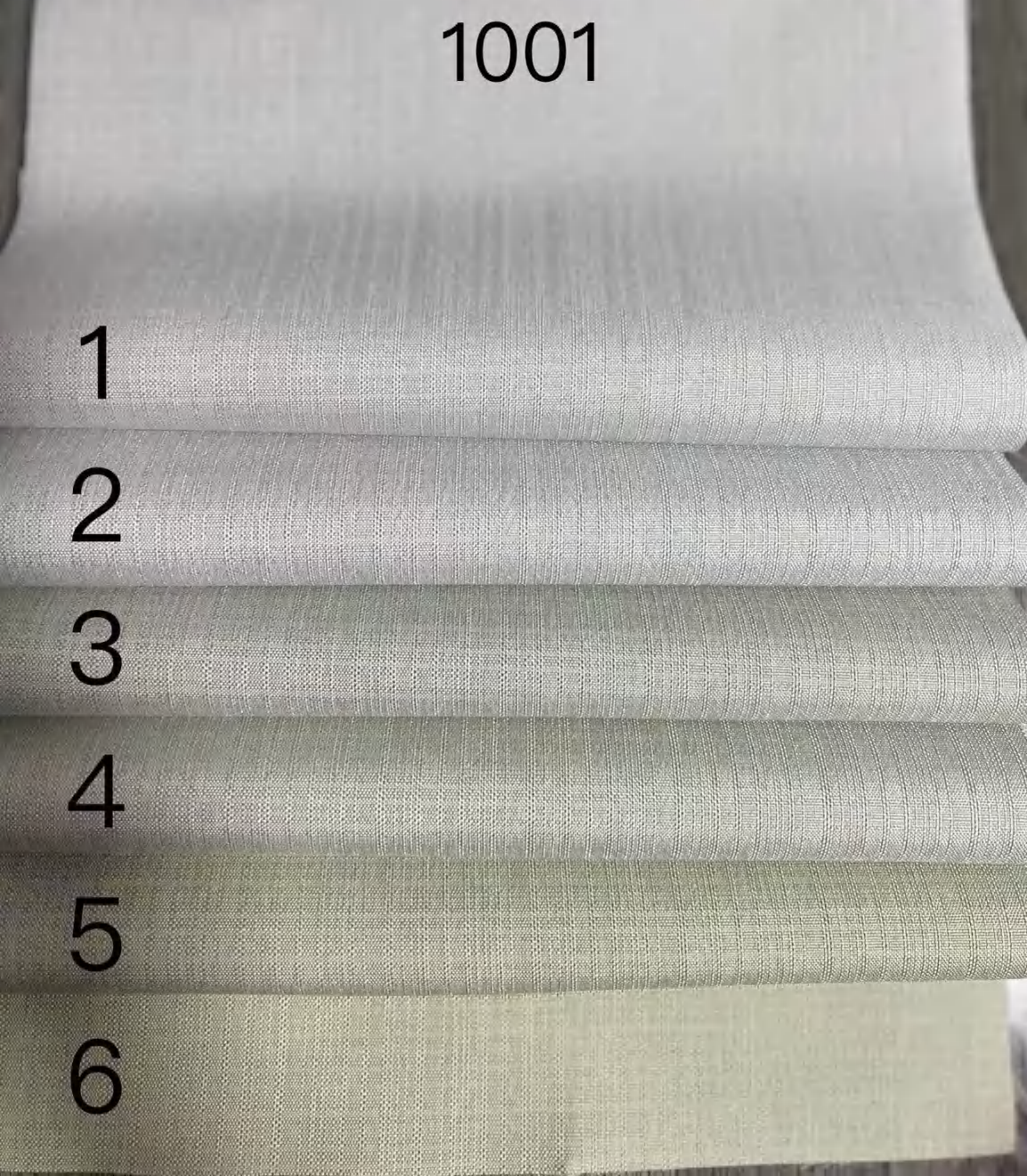 1001#